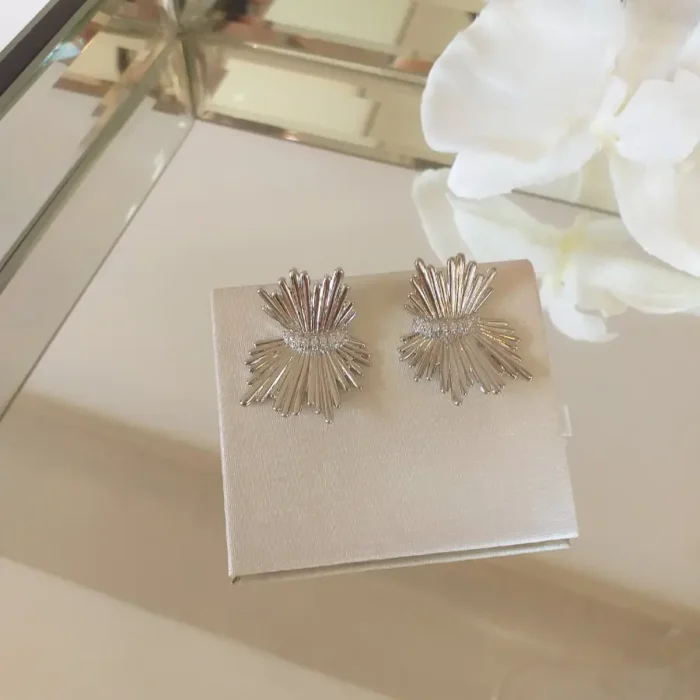 Brinco Shine R. O- 4931 - Imagem 1