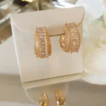 Brinco de Argola - 4859