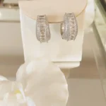 Brinco Argola Cristal R. - 4953