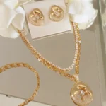 Conj. Orgânico O. - 5078