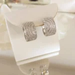 Brinco Argola Zircônia R. - 5081