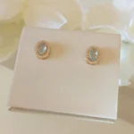 Brinco Oval AM O.-5277